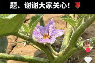 单节上双！格雷森-阿伦首节5中4拿下10分